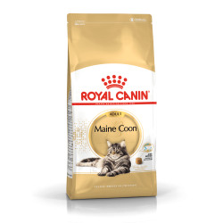 Royal Canin Maine Coon Adult sausas maistas katėms