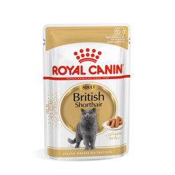 Royal Canin British Shorthair konservai katėms