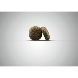 Josera Salmon & Potato begrūdis sausas pašaras šunims - Zoobaze.lt