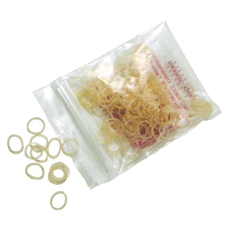 Record gumytės jorkšyrams