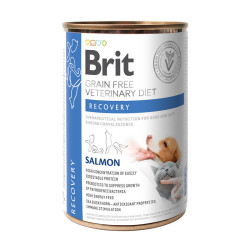 Brit Veterinary Diets Recovery konservai šunims ir katėms