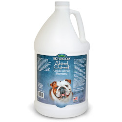 Bio Groom Natural Oatmeal šampūnas šunims ir katėms 3.8l