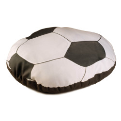 Record Guolis šunims