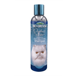 Bio Groom Purrfect White šampūnas katėms