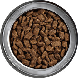 Belcando Mastercraft sausas maistas su 80% gryna antiena šunims