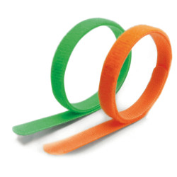 Record antkaklis žymėti šuniukams