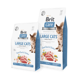 Brit Care Cat Power & Vitality sausas maistas didelių veislių katėms