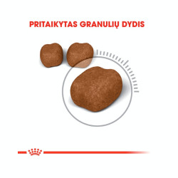 Royal Canin Oral Care sausas maistas katėms