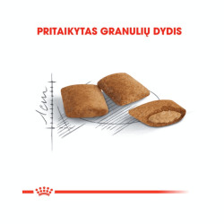 Royal Canin Ageing 12+ sausas maistas katėms