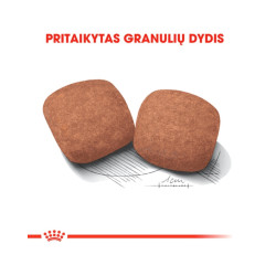 Royal Canin Giant Adult sausas maistas šunims