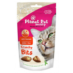 Planet Pet Society traškūs skanėstai nuo plaukų sąvėlų katėms