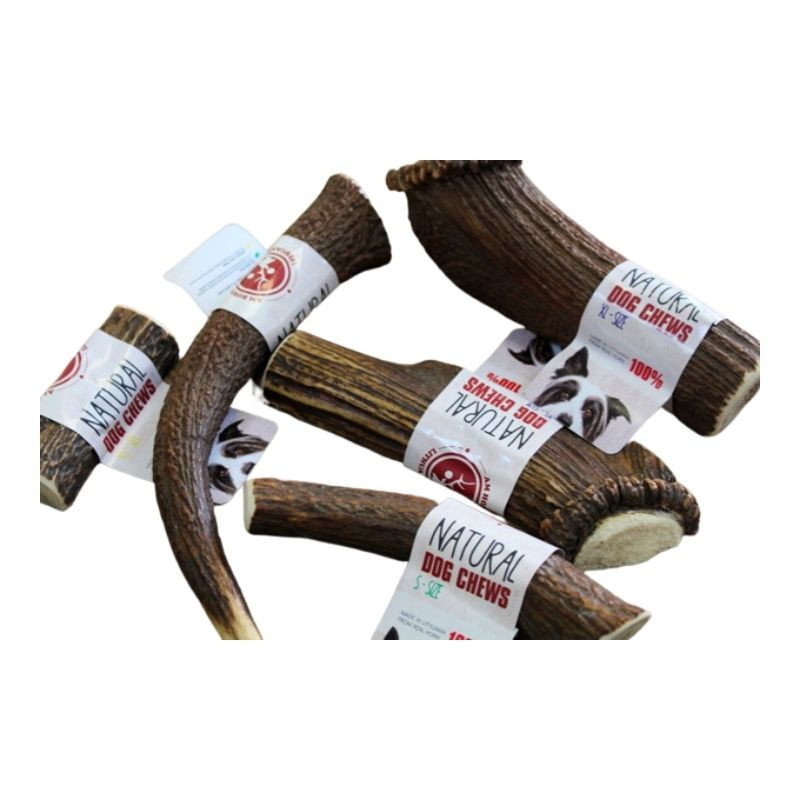 AM Horns natūralus elnio rago kramtukas skanėstas šunims