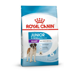 Royal Canin Giant Junior sausas maistas šunims