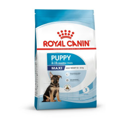 Royal Canin Maxi Puppy sausas maistas šunims