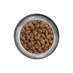 Belcando Junior Lamb & Rice sausas maistas su ėriena jauniems šunims