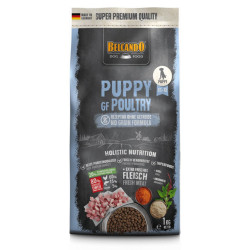 Belcando Puppy GF Poultry begrūdis sausas maistas su naminių paukščių mėsa jauniems šuniukams - Zoobaze.lt