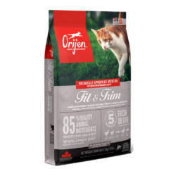 Orijen Fit & Trim Cat sausas maistas katėms