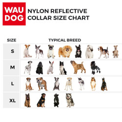 Waudog Nylon šviečiantis antkaklis su plastikine sagtimi ir QR kodu šunims
