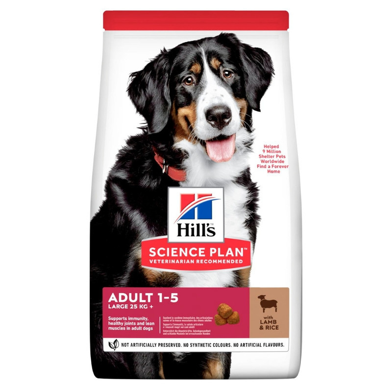 Hill's Science Plan Adult Large Breed Lamb & Rice sausas maistas su ėriena didelių veislių šunims