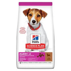 Hill's Science Plan Puppy Small & Mini sausas maistas su ėriena ir ryžiais šuniukams