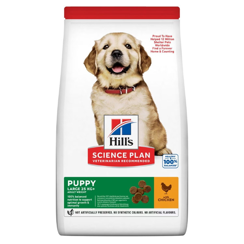 Hill's Science Plan Puppy Large Breed Chicken sausas maistas su vištiena didelių veislių šuniukams