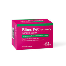 NBF Lanes Ribes Pet Recovery pašaro papildas šunims ir katėms