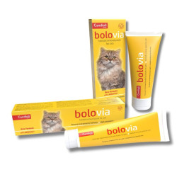 Candioli Bolo Via pasta