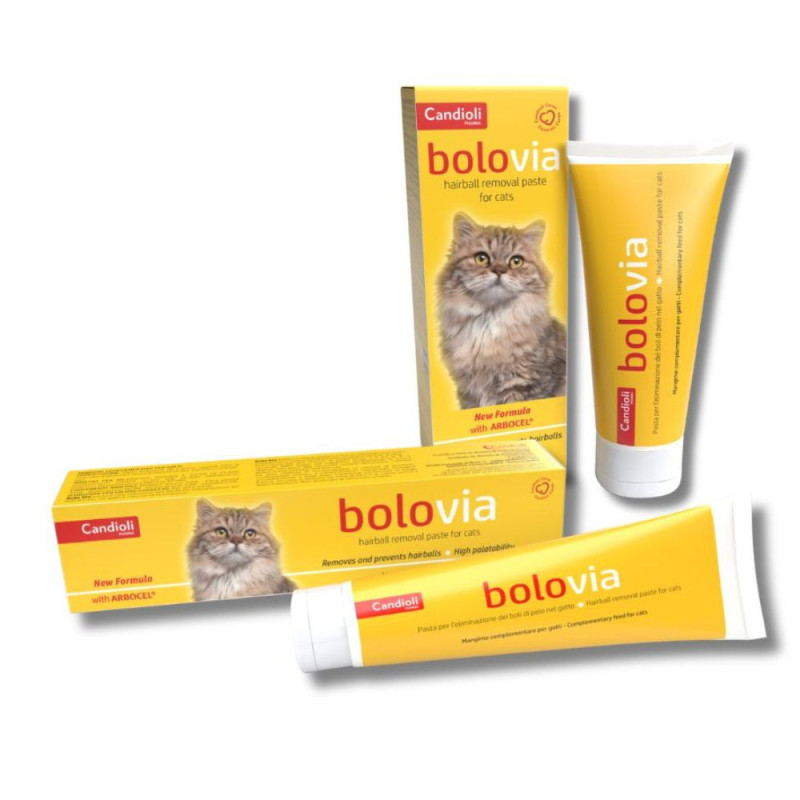 Candioli Bolo Via pasta