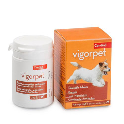 Candioli Vigorpet koertele tabletid