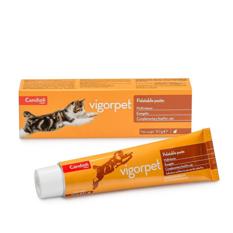 Candioli Vigorpet multivitamiin energialisand