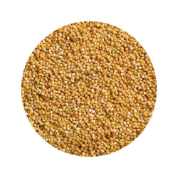 Vitakraft Lebertan Pearls pašaro papildas su žuvų aliejumi paukščiams