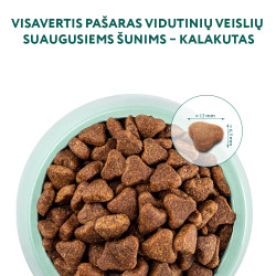 Optimeal Adult Medium sausas pašaras su kalakutiena vidutinių veislių šunims