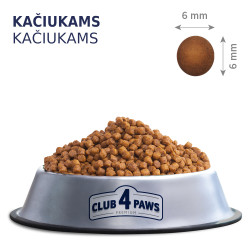 Club 4 Paws Kitten Chicken sausas pašaras su vištiena kačiukams