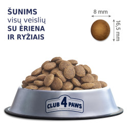 Club 4 Paws Lamb & Rice sausas pašaras su ėriena ir ryžiais šunims