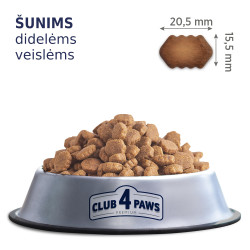 Club 4 Paws Large Breeds sausas pašaras didelių veislių šunims