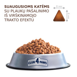 Club 4 Paws Hairball Control sausas pašaras katėms