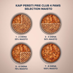 Club 4 Paws Premium Selection konservai su silke ir strimėle drebučiuose suaugusioms katėms