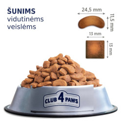 Clubs 4 Paws Premium visavertis sausas pašaras suaugusiems vidutinių veislių šunims