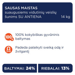 Club 4 Paws Premium pašaras su antiena vidutinio dydžio, suaugusiems šunims