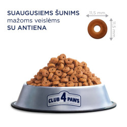 Club 4 Paws Premium pašaras su antiena mažiems, suaugusiems šunims