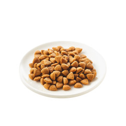 Kattovit Kidney/Renal sausas pašaras katėms - Zoobaze.lt