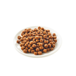 Kattovit Gastro sausas pašaras katėms