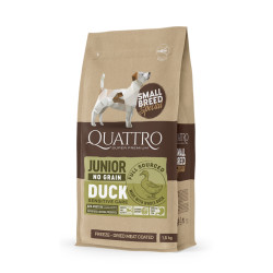Quattro Small Breed Junior sausas pašaras su antiena mažų veislių šunims