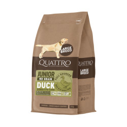 Quattro Grain Free sausas pašaras su antiena didelių veislių jauniems šunims