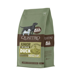 Quattro Grain Free sausas pašaras su antiena jauniems šunims