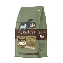 Quattro Grain Free sausas pašaras su antiena suaugusiems šunims