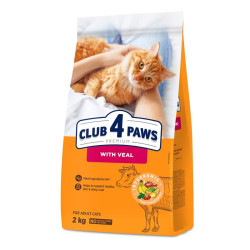 Club 4 Paws Premium sausas pašaras su veršiena katėms