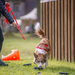 PE2TE minkštas PVC padengtas pavadėlis