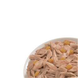 Life Cat konservai su tunu ir papaja katėms - Zoobzė.lt