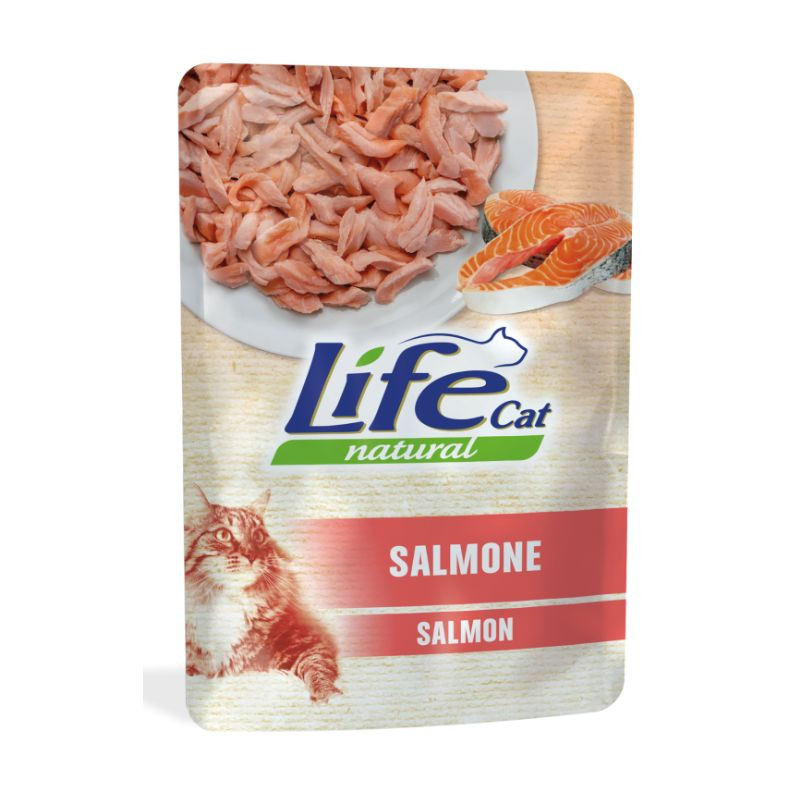 Life Cat guliašas su lašiša katėms